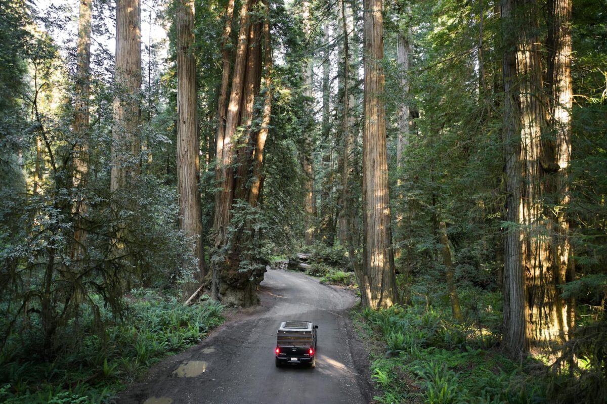 overhead view of a car driving along a gravel road between tall tress in a state forest