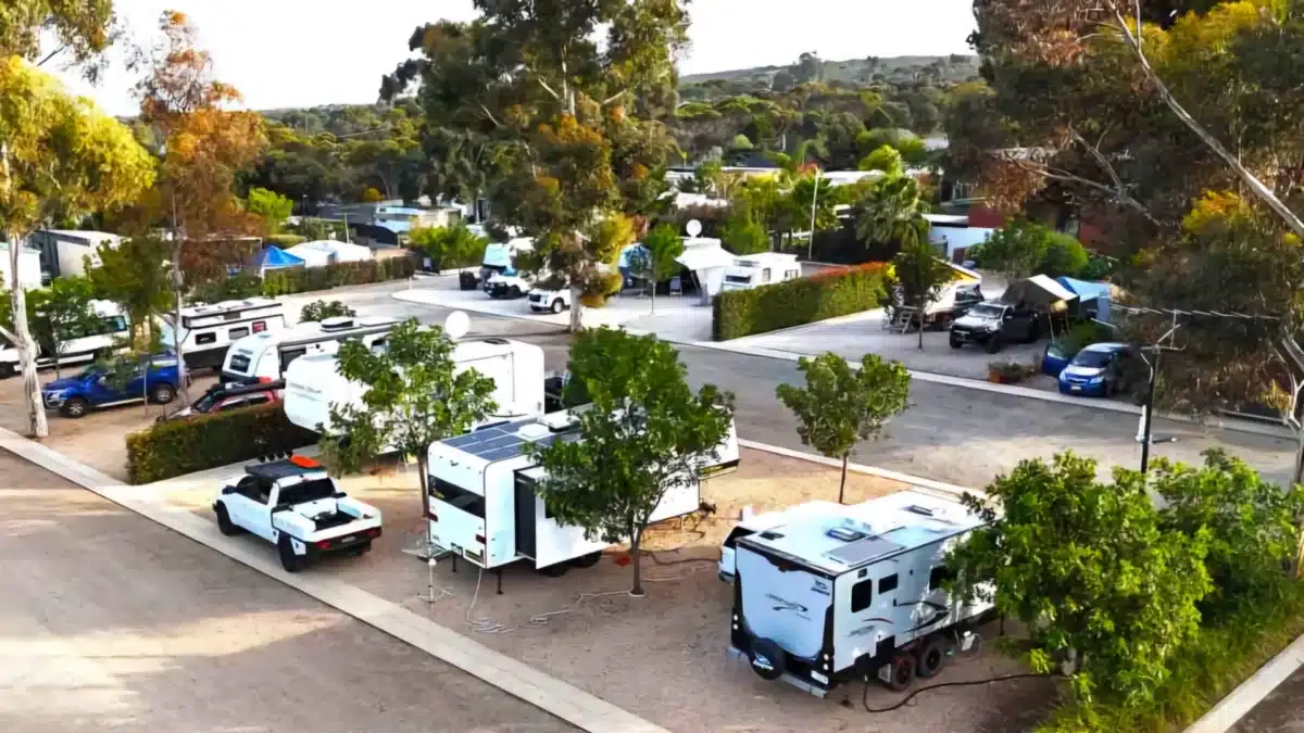 Caravans and motorhomes set up at Murray Bridge Tourist Park in South Australia