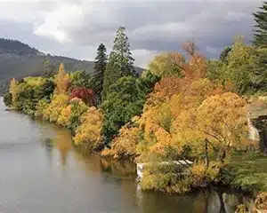 New Norfolk town along the Derwent River in Tasmania