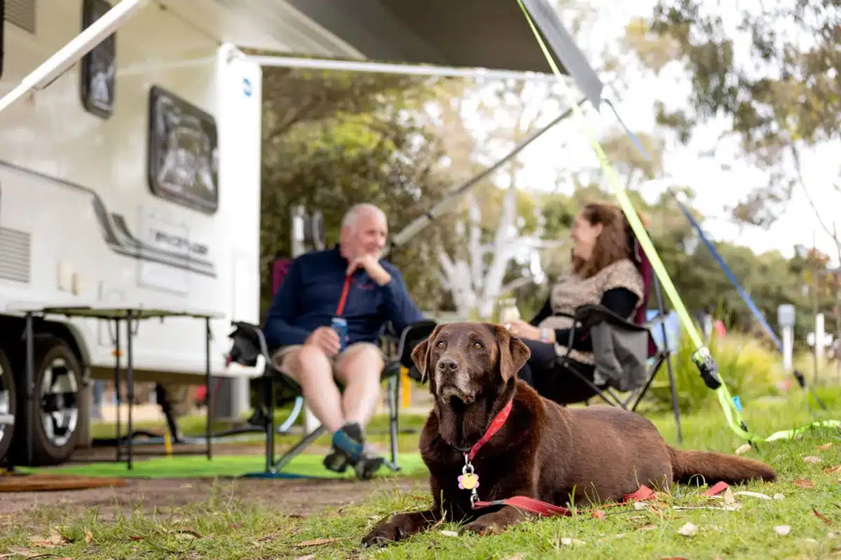 Couple with a dog at a pet-friendly Australian caravan park campsite, showing expanded pet-friendly holiday park options in 2026