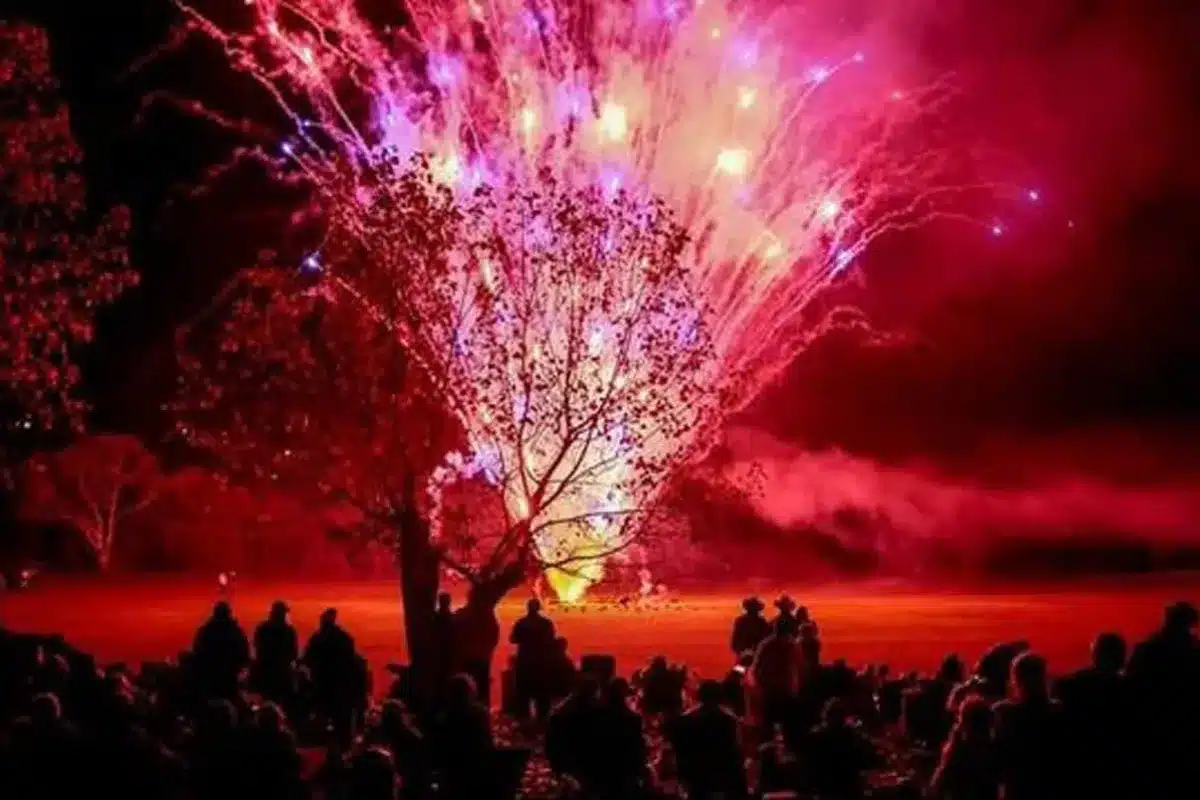 fireworks bonfire